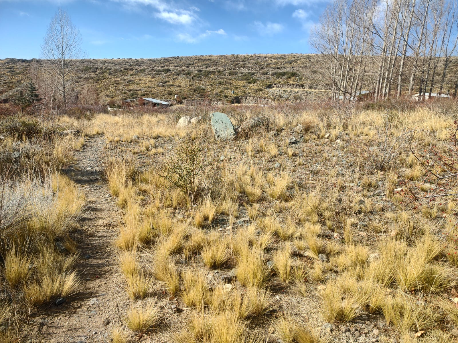Lote, vista, montañas, panorámica, ubicación, oportunidad 